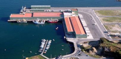 air-conditioned-and-computerized-fish-auction-market-in-burela-lugo