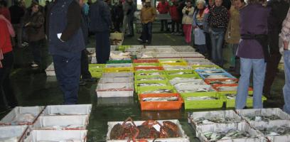 needs-analysis-for-the-fish-auction-market-of-riveira