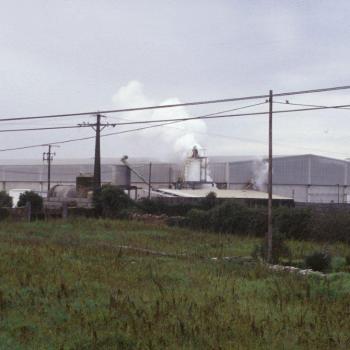 canning-factory-in-vilanova-de-arousa-pontevedra